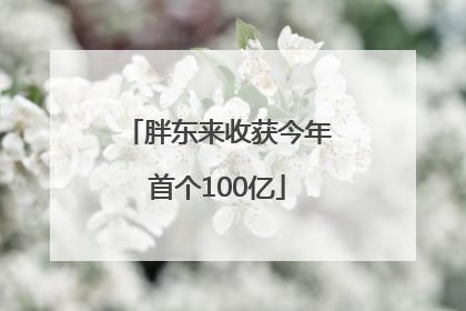 胖东来收获今年首个100亿