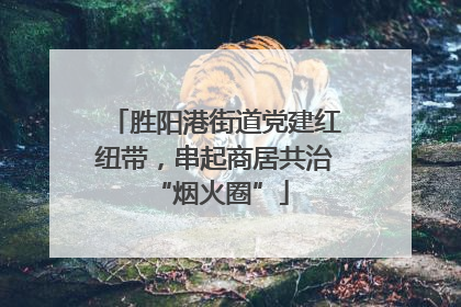 胜阳港街道党建红纽带，串起商居共治 “烟火圈”