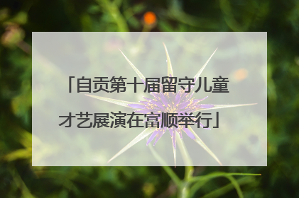 自贡第十届留守儿童才艺展演在富顺举行