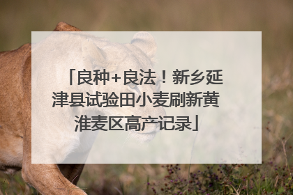 良种+良法！新乡延津县试验田小麦刷新黄淮麦区高产记录