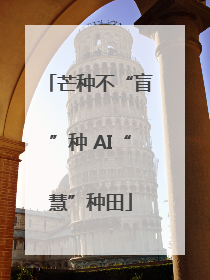 芒种不“盲”种 AI“慧”种田