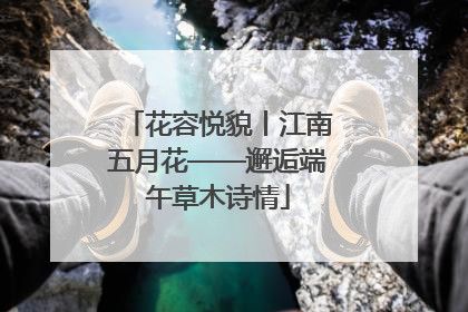 花容悦貌丨江南五月花——邂逅端午草木诗情