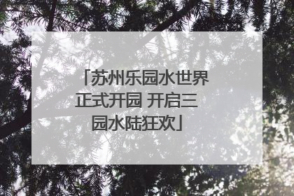 苏州乐园水世界正式开园 开启三园水陆狂欢