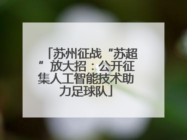 苏州征战“苏超”放大招：公开征集人工智能技术助力足球队