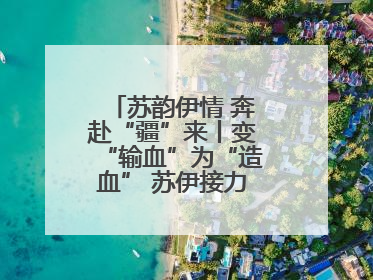 苏韵伊情 奔赴“疆”来丨变“输血”为“造血” 苏伊接力守护“心”生