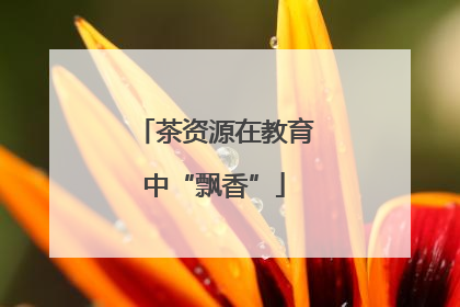 茶资源在教育中“飘香”