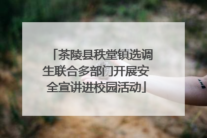 茶陵县秩堂镇选调生联合多部门开展安全宣讲进校园活动