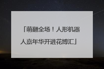 萌翻全场！人形机器人嘉年华开进花博汇