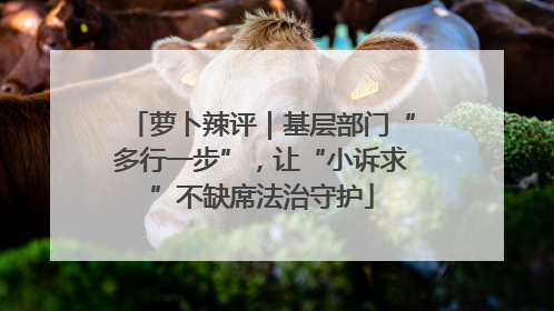 萝卜辣评｜基层部门“多行一步”，让“小诉求”不缺席法治守护