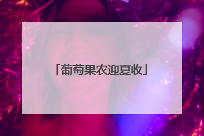 葡萄果农迎夏收
