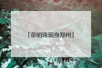 董明珠现身郑州