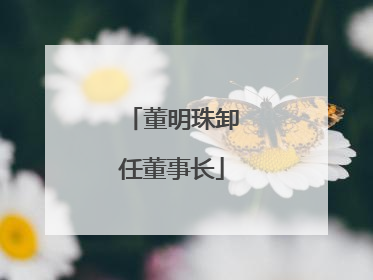 董明珠卸任董事长