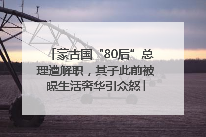 蒙古国“80后”总理遭解职，其子此前被曝生活奢华引众怒
