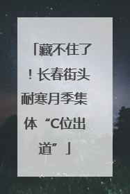 藏不住了！长春街头耐寒月季集体“C位出道”