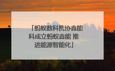 蚂蚁数科携协鑫能科成立蚂蚁鑫能 推进能源智能化