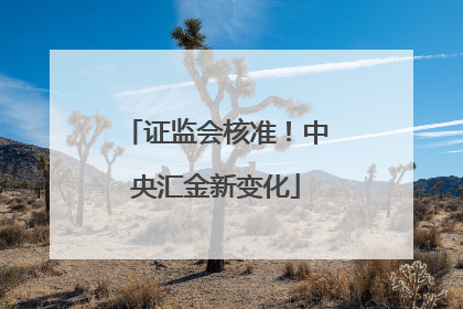 证监会核准！中央汇金新变化