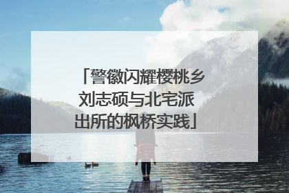 警徽闪耀樱桃乡 刘志硕与北宅派出所的枫桥实践