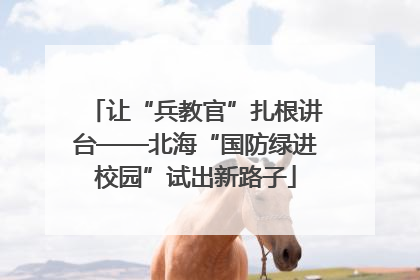 让“兵教官”扎根讲台——北海“国防绿进校园”试出新路子
