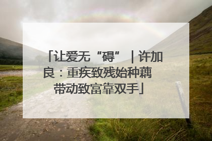 让爱无“碍”｜许加良：重疾致残始种藕 带动致富靠双手