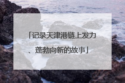 记录天津港链上发力、蓬勃向新的故事