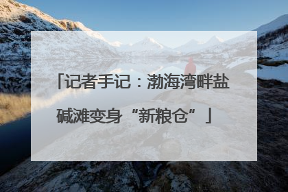 记者手记：渤海湾畔盐碱滩变身“新粮仓”