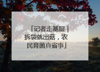记者走基层｜拆袋就出菇，农民育菌真省事
