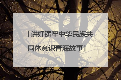 讲好铸牢中华民族共同体意识青海故事