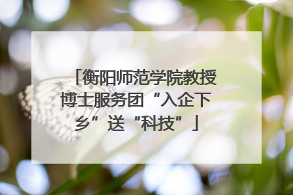 衡阳师范学院教授博士服务团“入企下乡”送“科技”