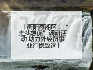 衡阳蒸湘区：“走找想促”调研活动 助力外经贸事业行稳致远
