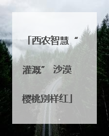 西农智慧“灌溉” 沙漠樱桃别样红