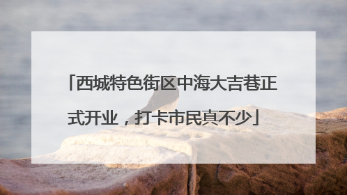 西城特色街区中海大吉巷正式开业，打卡市民真不少
