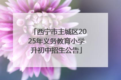 西宁市主城区2025年义务教育小学升初中招生公告