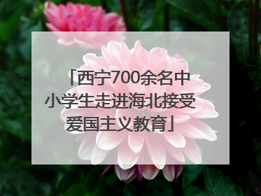 西宁700余名中小学生走进海北接受爱国主义教育