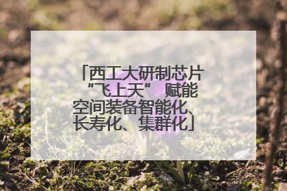 西工大研制芯片“飞上天” 赋能空间装备智能化、长寿化、集群化
