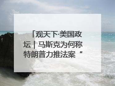 观天下·美国政坛｜马斯克为何称特朗普力推法案“令人作呕”