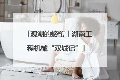 观潮的螃蟹丨湖南工程机械“双城记”