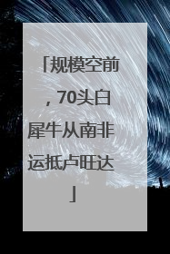 规模空前，70头白犀牛从南非运抵卢旺达