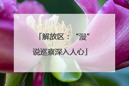 解放区：“漫”说巡察深入人心
