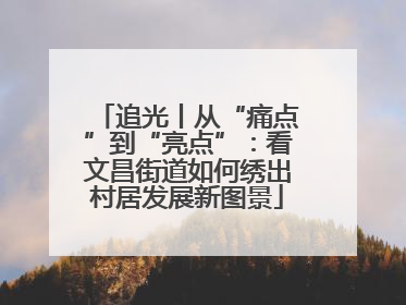 追光丨从“痛点”到“亮点”：看文昌街道如何绣出村居发展新图景