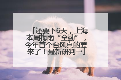 还要下6天，上海本周梅雨“全勤”，今年首个台风真的要来了！最新研判→