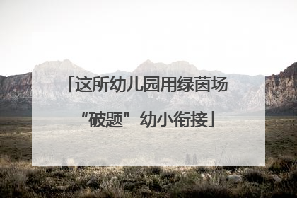 这所幼儿园用绿茵场“破题”幼小衔接