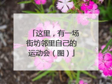 这里，有一场街坊邻里自己的运动会（图）