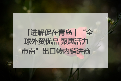 进解促在青岛｜“全球外贸优品 聚惠活力市南”出口转内销进商超专场活动启动