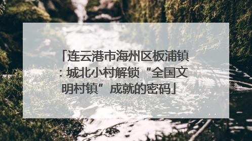 连云港市海州区板浦镇：城北小村解锁“全国文明村镇”成就的密码