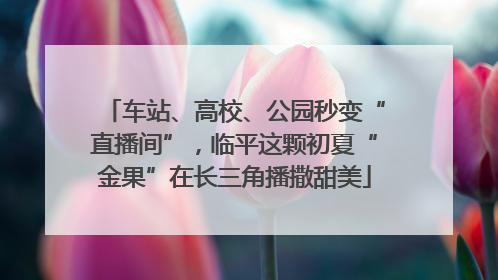 车站、高校、公园秒变“直播间”，临平这颗初夏“金果”在长三角播撒甜美