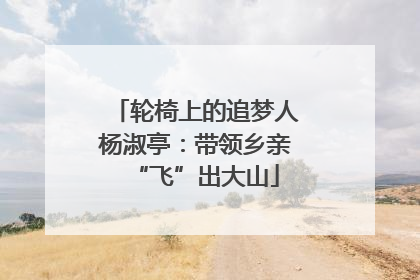 轮椅上的追梦人杨淑亭：带领乡亲“飞”出大山