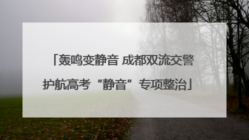 轰鸣变静音 成都双流交警护航高考“静音”专项整治
