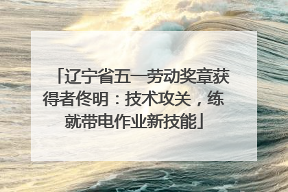 辽宁省五一劳动奖章获得者佟明：技术攻关，练就带电作业新技能