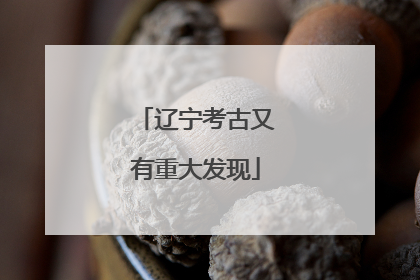 辽宁考古又有重大发现