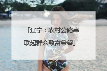 辽宁：农村公路串联起群众致富希望